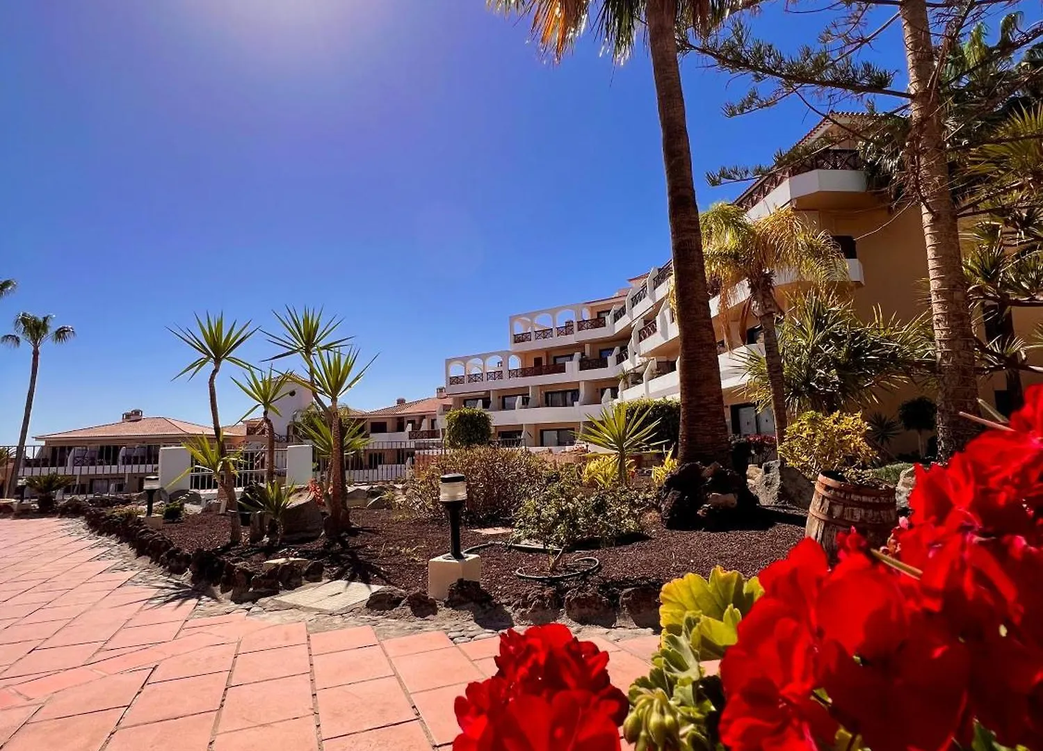 Ferienwohnung Hermoso Estudio Parque Albatros San Miguel de Abona